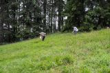 201307060728-AJS_3838.jpg